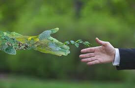 Nature economy, business che valorizzano la natura