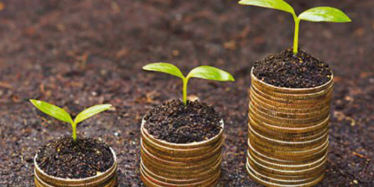 Aiutare la natura produce ricchezza