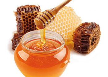 Le api in lotta contro la burocrazia