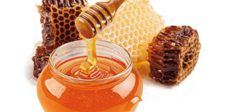 Le api in lotta contro la burocrazia