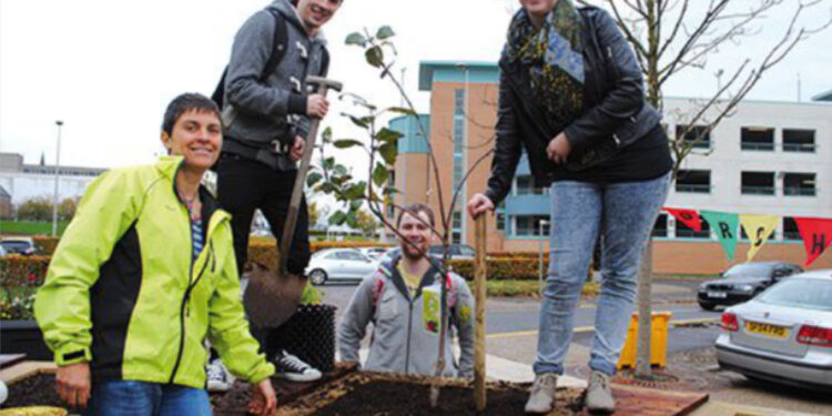 Coltivare il bene comune frutta bene