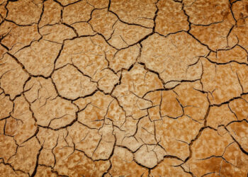 L’emergenza climatica mette a rischio il futuro dei nostri figli