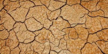 L’emergenza climatica mette a rischio il futuro dei nostri figli