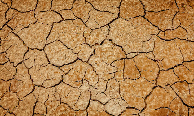 L’emergenza climatica mette a rischio il futuro dei nostri figli