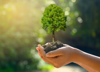 Paesi ad energia 100% pulita già ci sono