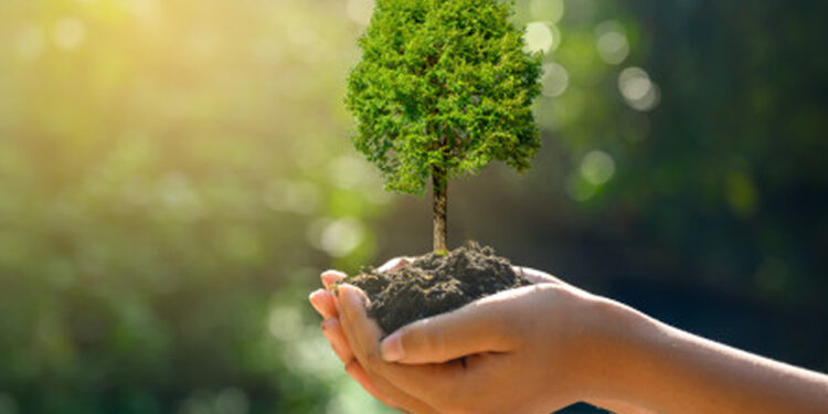 Paesi ad energia 100% pulita già ci sono