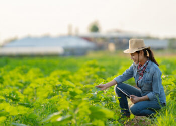 I soldi e i settori per lavorare tutti ci sono