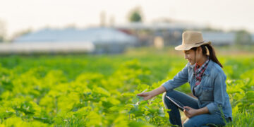 I soldi e i settori per lavorare tutti ci sono
