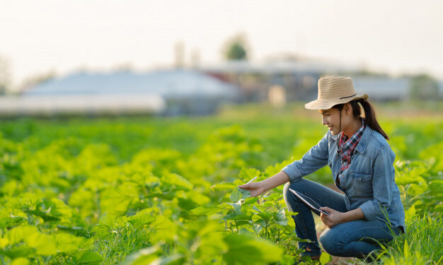 I soldi e i settori per lavorare tutti ci sono