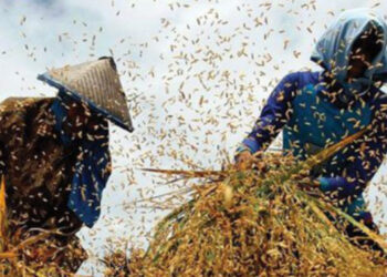 La terra basta per tutti