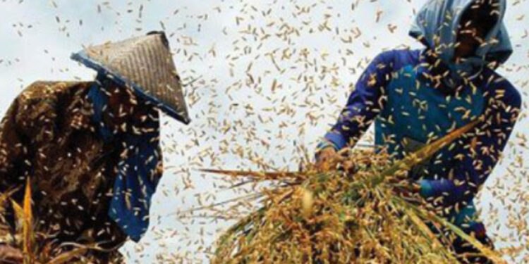 La terra basta per tutti