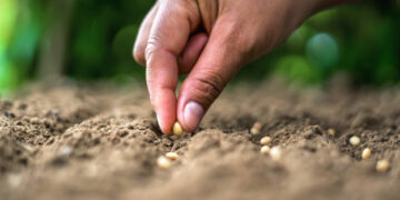La vera origine della crisi e la via di uscita