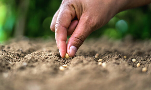 La vera origine della crisi e la via di uscita