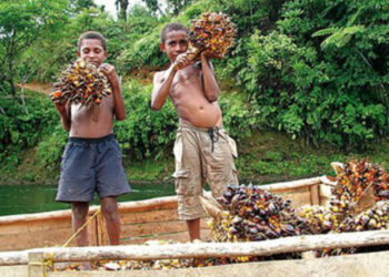 L’alternativa naturale all’olio di palma