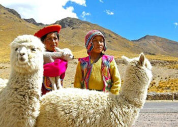 I problemi del pianeta risolti dai poveri