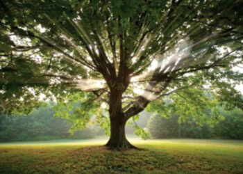 guadagnare con la natura