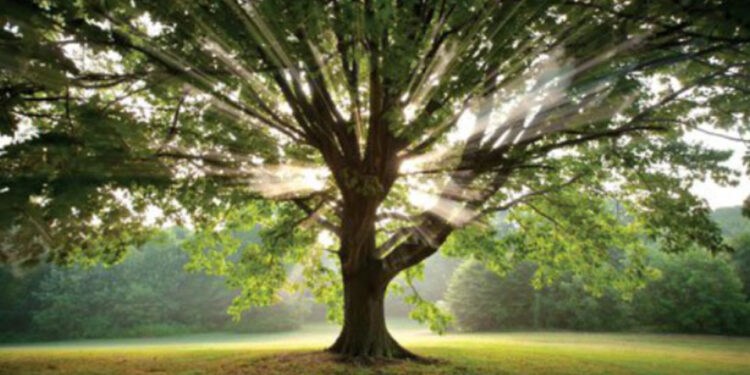 guadagnare con la natura