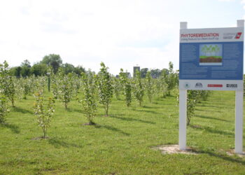 La bellezza cancella l’inquinamento e il malaffare