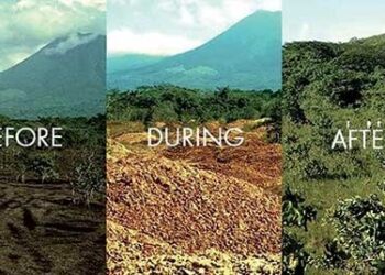 La buccia delle arance recupera la fertilità della terra