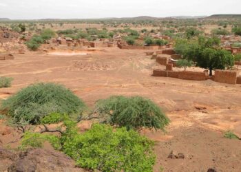 Il lavoro del futuro è nella Natura: la riforestazione della Terra