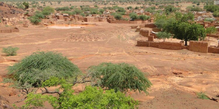 Il lavoro del futuro è nella Natura: la riforestazione della Terra
