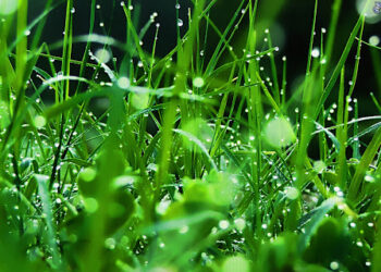 Copiamo le nuvole per avere acqua senza pioggia