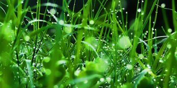 Copiamo le nuvole per avere acqua senza pioggia