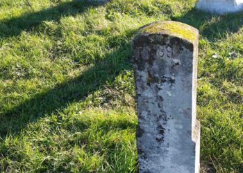 La memoria sulle pandemie cancellata da superficialità e ignoranza