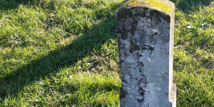 La memoria sulle pandemie cancellata da superficialità e ignoranza