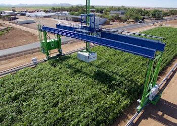 Agricoltura senza agricoltori: l’ultima tappa della follia umana