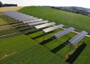 Come produrre energia rinnovabile e cibo biologico sullo stesso terreno agricolo
