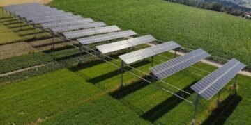 Come produrre energia rinnovabile e cibo biologico sullo stesso terreno agricolo