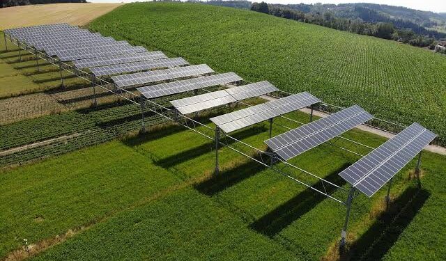 Come produrre energia rinnovabile e cibo biologico sullo stesso terreno agricolo