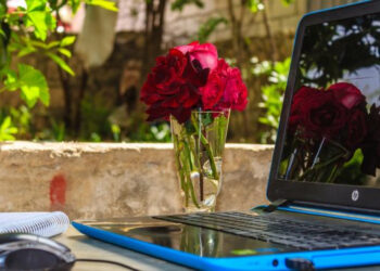 Confinare la stupidità sui social è possibile con i “giardini digitali”