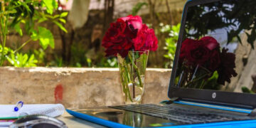 Confinare la stupidità sui social è possibile con i “giardini digitali”