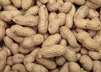 Sostanze tossiche eliminate con gli scarti agro-industriali