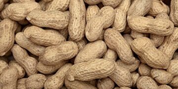 Sostanze tossiche eliminate con gli scarti agro-industriali