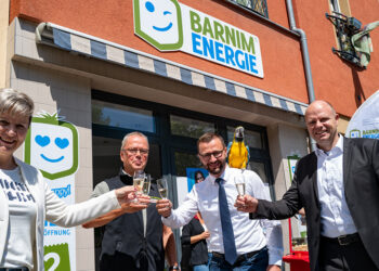 Aziende pubbliche che fanno soldi con l’energia pulita