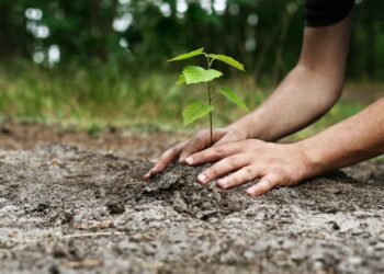 Disoccupazione e cambiamenti climatici, due problemi politici con un’unica soluzione