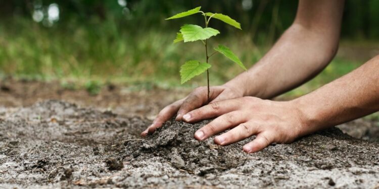 Disoccupazione e cambiamenti climatici, due problemi politici con un’unica soluzione