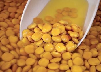 I business del futuro: la riscoperta dei legumi antichi