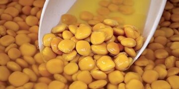 I business del futuro: la riscoperta dei legumi antichi
