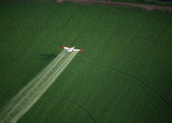 Montagne di soldi rubati all’agricoltura sostenibile