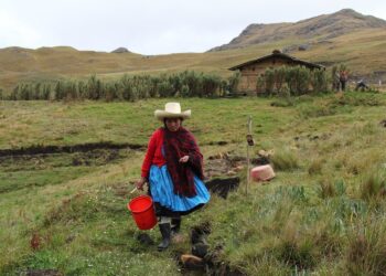 Storie di poveri che salvano l’ambiente e i diritti umani