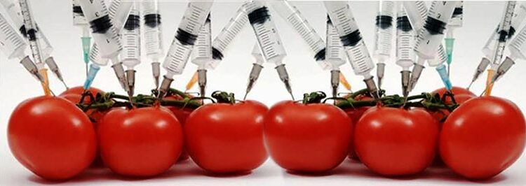 Il fallimento definitvo degli OGM