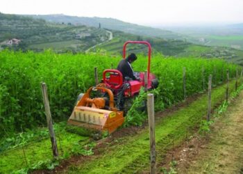 Convertire all’agricoltura biologica l’intera produzione mondiale di cibo è possibile e necessario