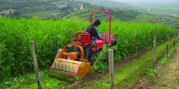 Convertire all’agricoltura biologica l’intera produzione mondiale di cibo è possibile e necessario