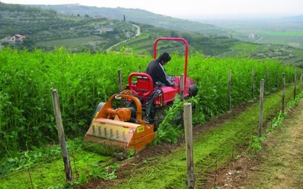 Convertire all’agricoltura biologica l’intera produzione mondiale di cibo è possibile e necessario