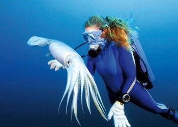 Medicine biologiche ispirate dalla natura