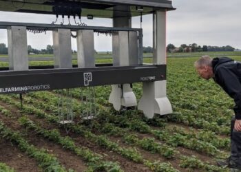 Tecnologia che crea occupazione vera